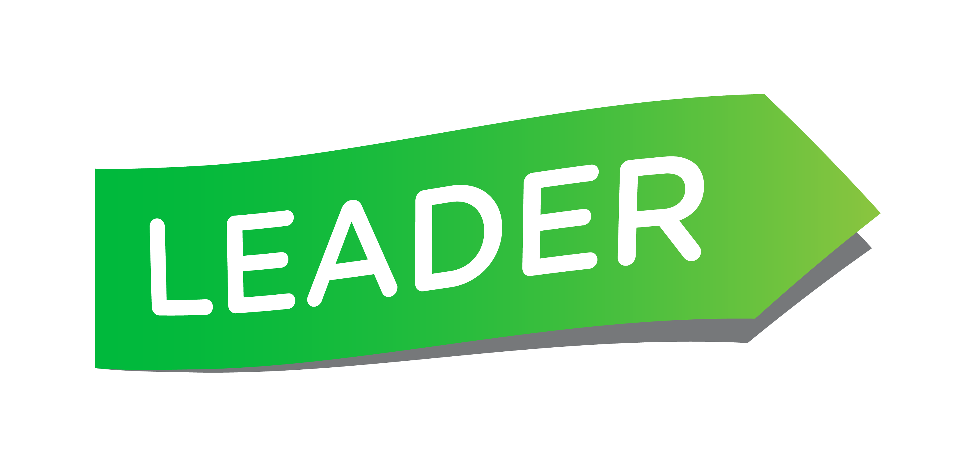 Leader-rahoitus